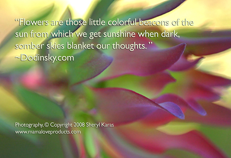 Spiritual Healing Quotes Mesmerizing Spiritual Counseling Flower Essence Aromatherapy Art And Healing Spiritual Healing Quotes Mesmerizing Spiritual Counseling Flower Essence Aromatherapy Art And Healing