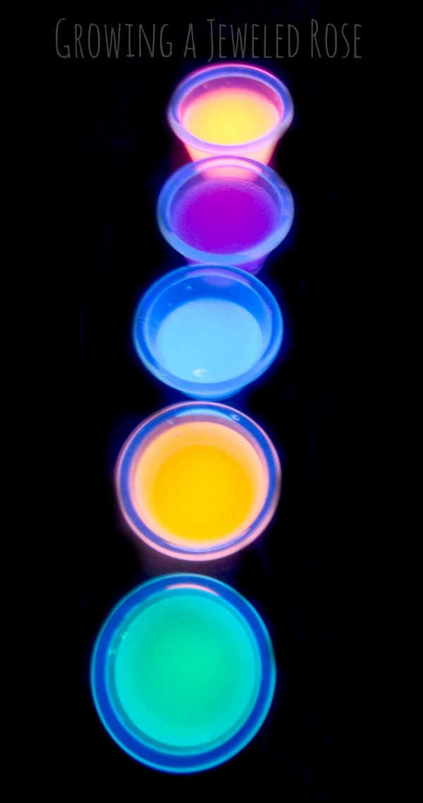 Homemade Glow in the Dark Vinegar Growing A Jeweled Rose