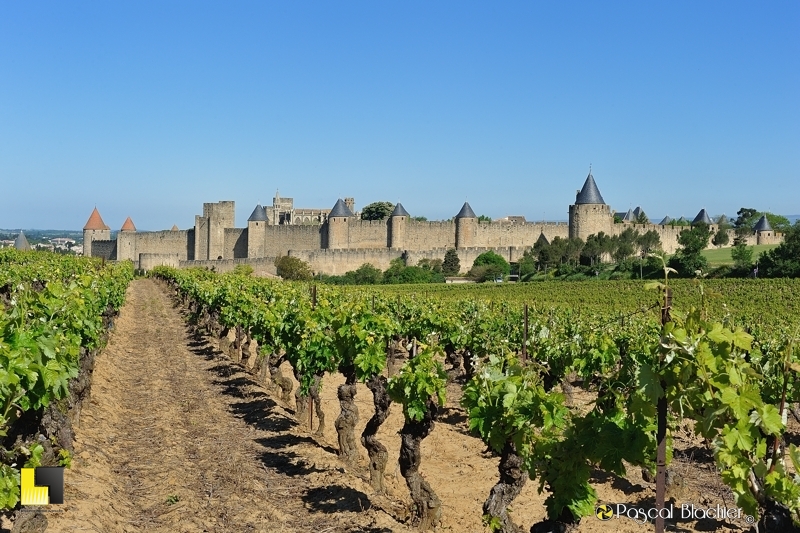 Vue sur la cité de carcassonne des vignes Carcassonne vue des vignes photo pascal blachier au delà du cliché