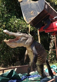 This photo is of Dustin Bockman's record-setting catch.