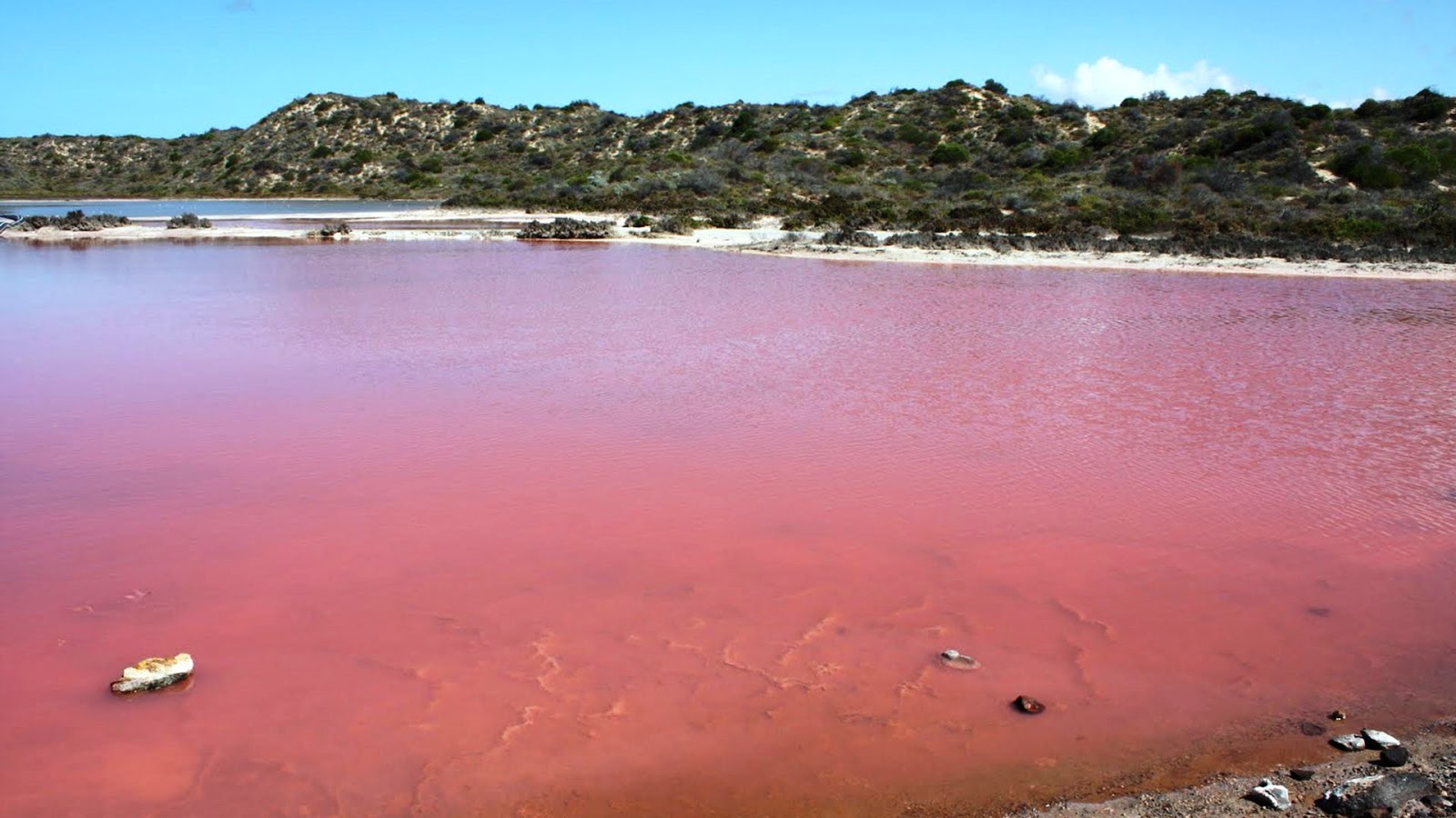 Pink Lakes Rare Natural Wonders Must See how To?