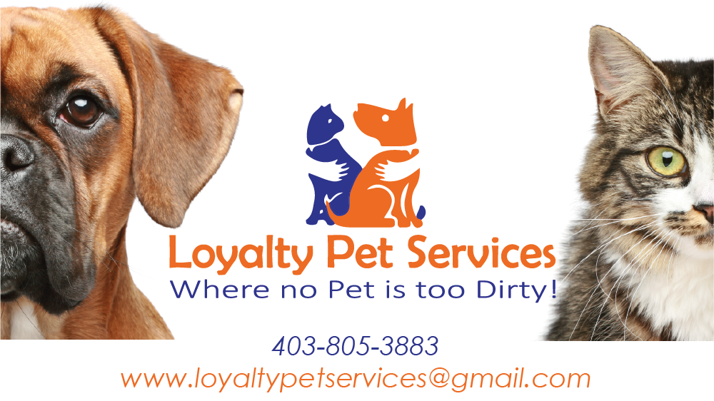 Loyalty Pet Service