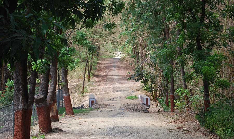 Botanical Garden at Waghai, Dangs, Gujarat Dhaval Pandya's page