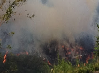 Wahiawa.Fire.08.15 | eTurboNews | eTN