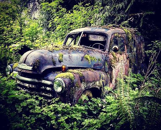 Chevy pick up 1956