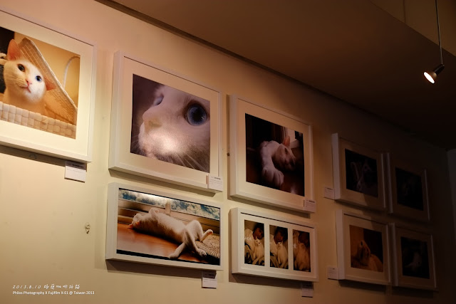 [台北] 極簡咖啡拍貓