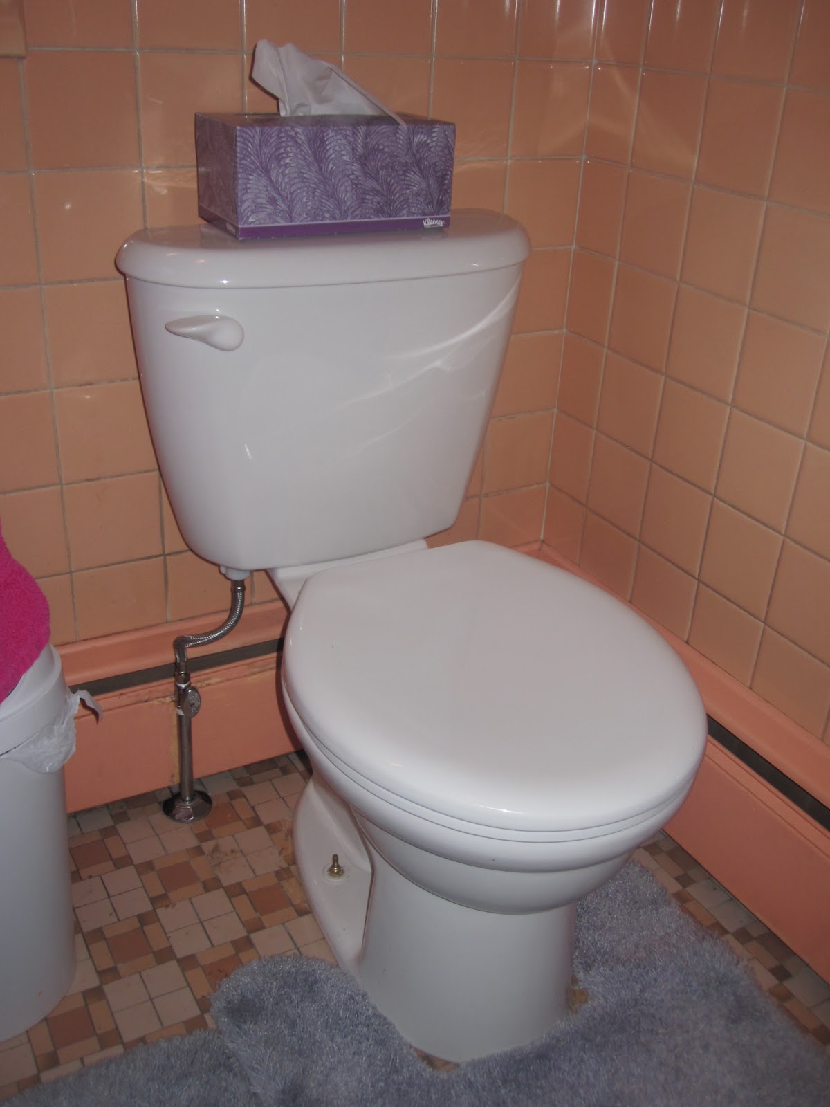 Life of the Lorenzens Bathroom remodelRevealed!