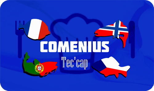 TEC'CAP COMENIUS