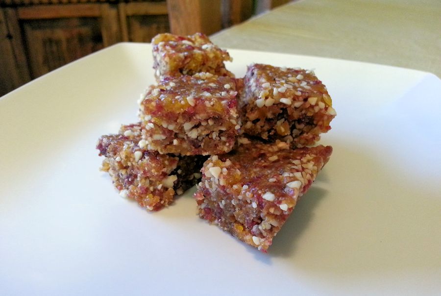 Rocki's Rock'n Blog Raw Vegan Chewy Fruit Bars