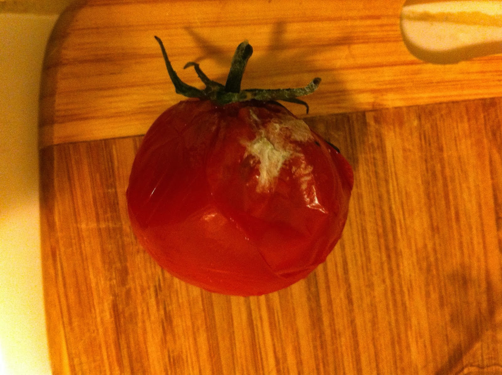 Moldy tomato means less foo Picture of moldy tomato