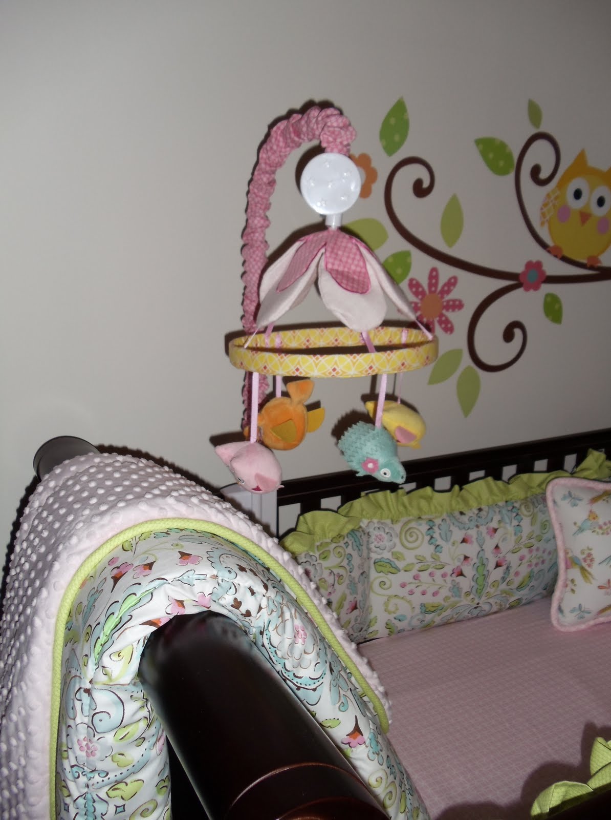 Greenville Baby Love Bird Nursery