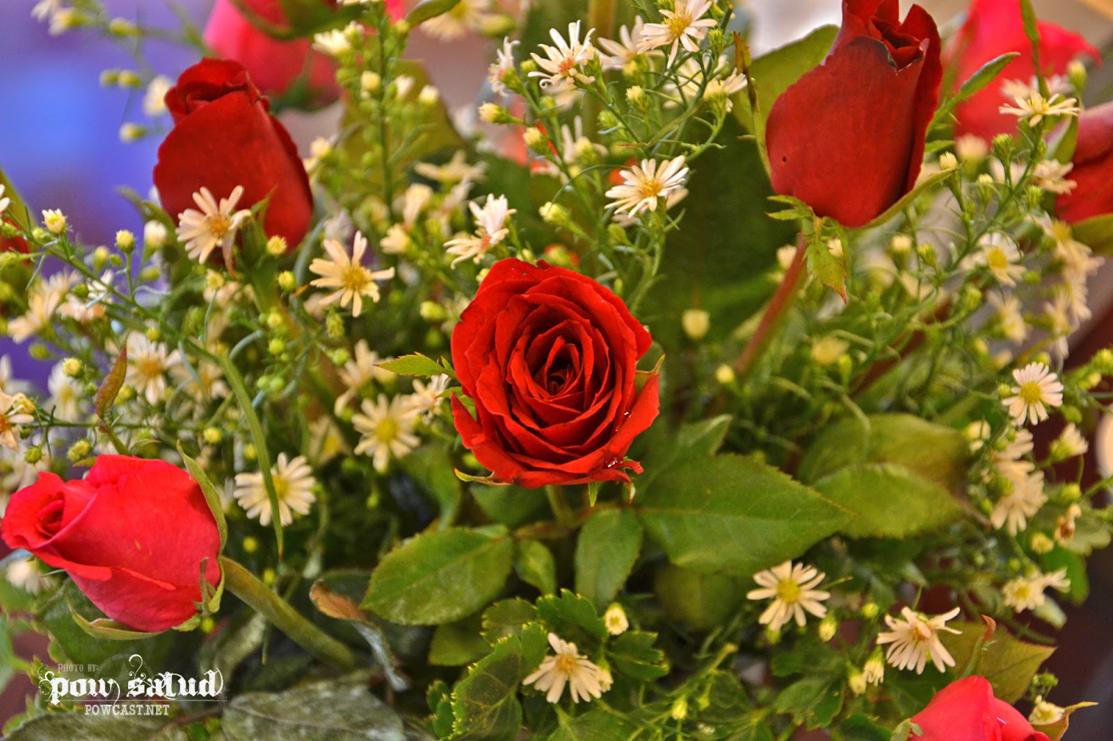 Wedding Photos Blog of Things