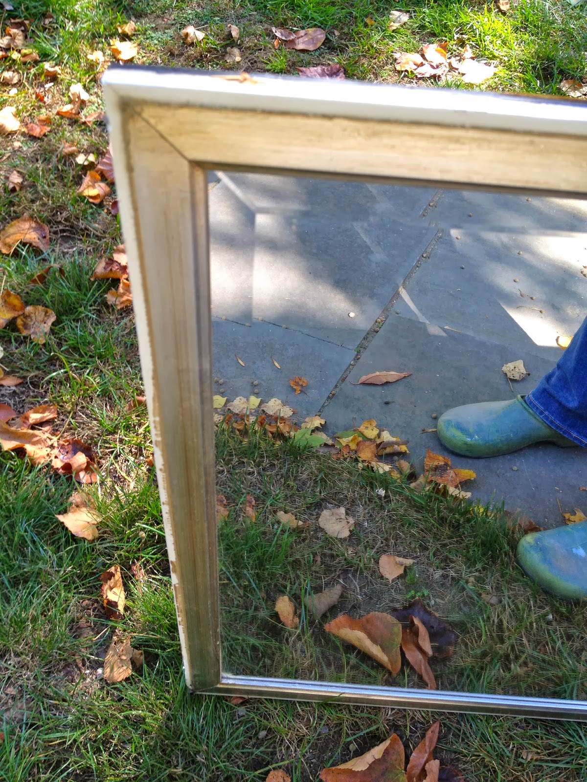 DIY Framed Floor Mirror Jaime Costiglio