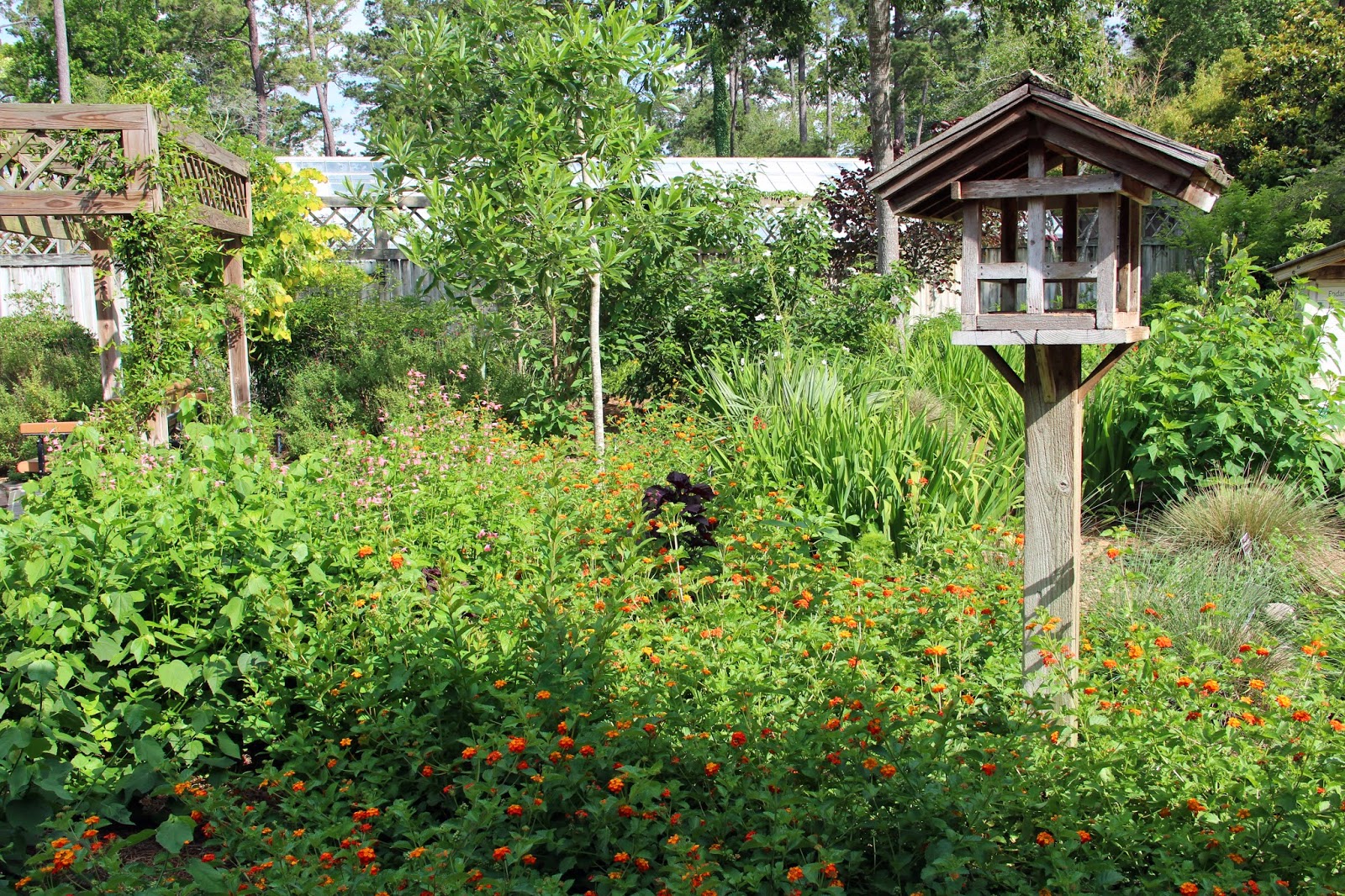 Ruminations Mercer Arboretum And Botanical Gardens Part Ii