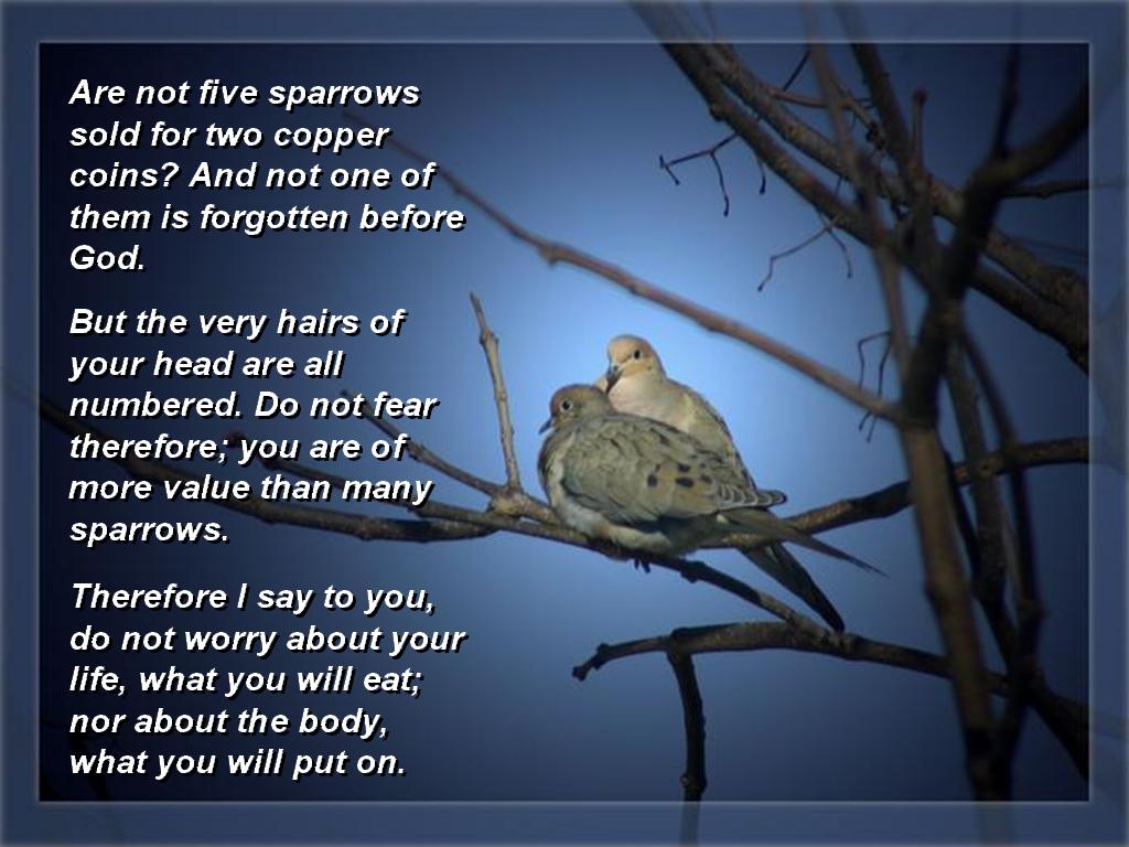 St.georges Church Ambayathode: INSPIRATIONAL THOUGHTS