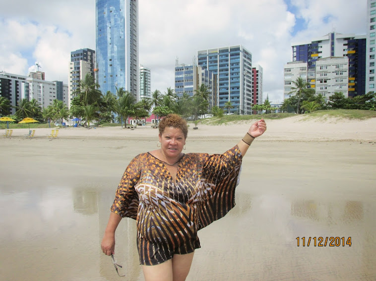 IN RECIFE-PE > PRAIA DE BOA VIAGEM > 2014