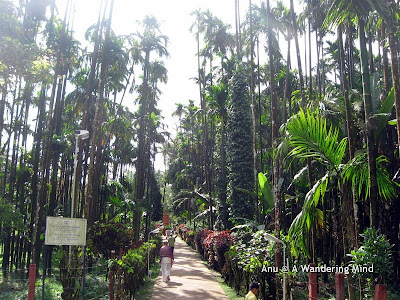 Path leading to the guru's abode, Sringeri in Karnataka