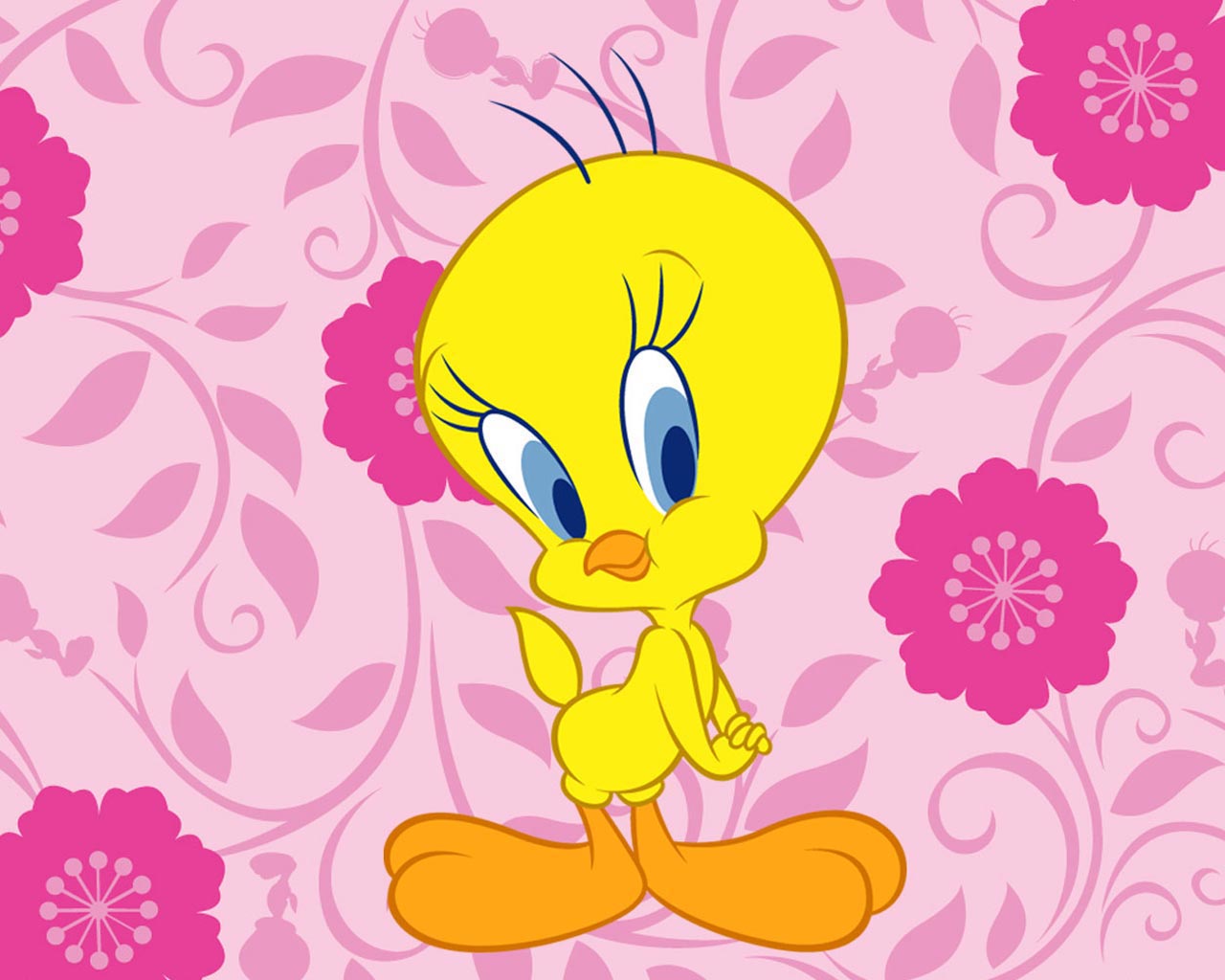 http://4.bp.blogspot.com/-opeLOrSmLjw/TujZ5fdsy5I/AAAAAAAAAAg/qJLGcqBF248/s1600/wallpapers-dibujos-animados-piolin.jpg