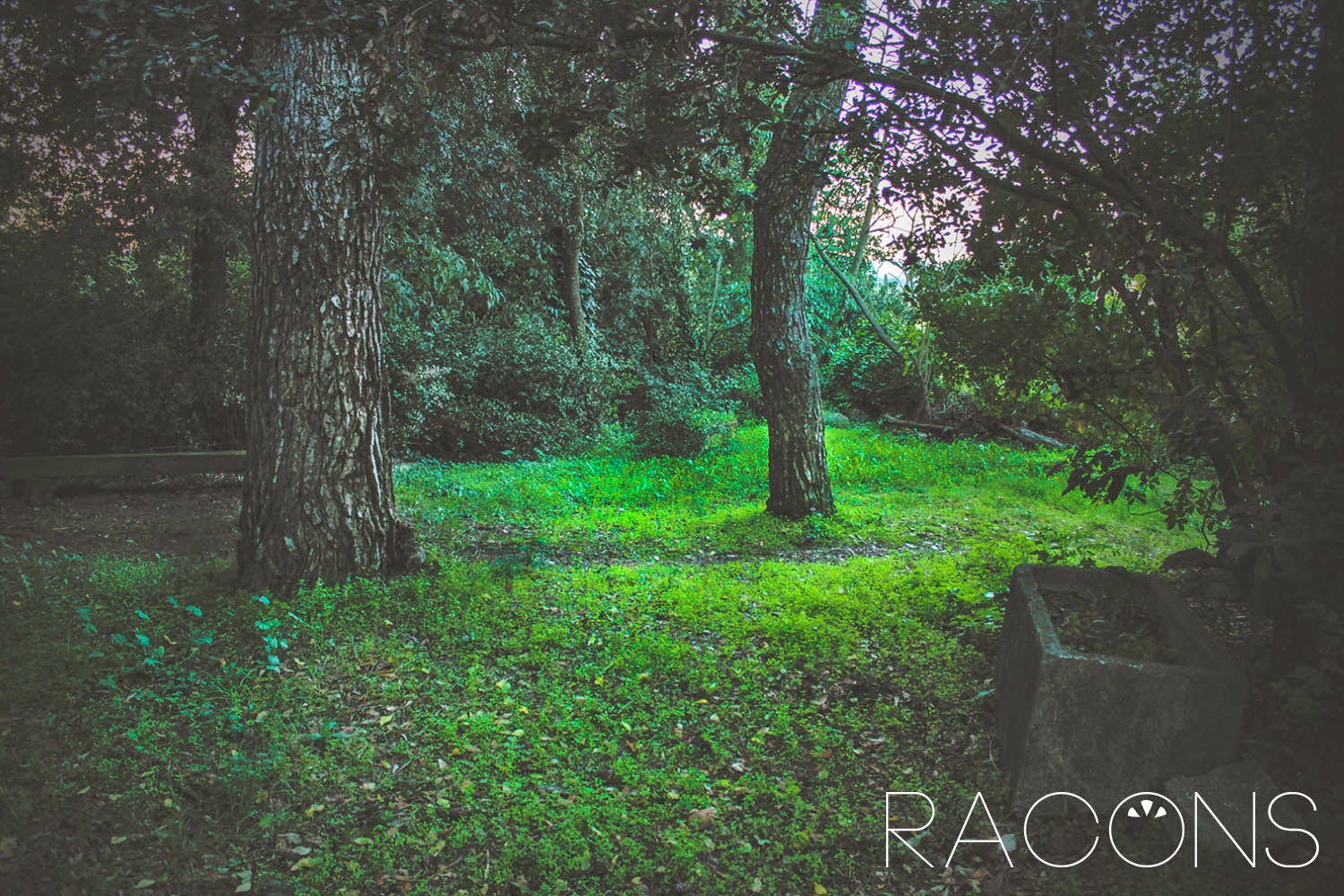 Racó amagat dels jardins de la jueva Racó amagat dels jardins de la jueva