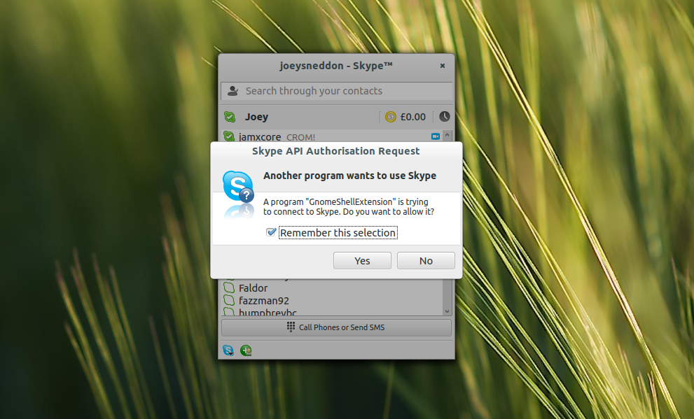 Skype api Skype api