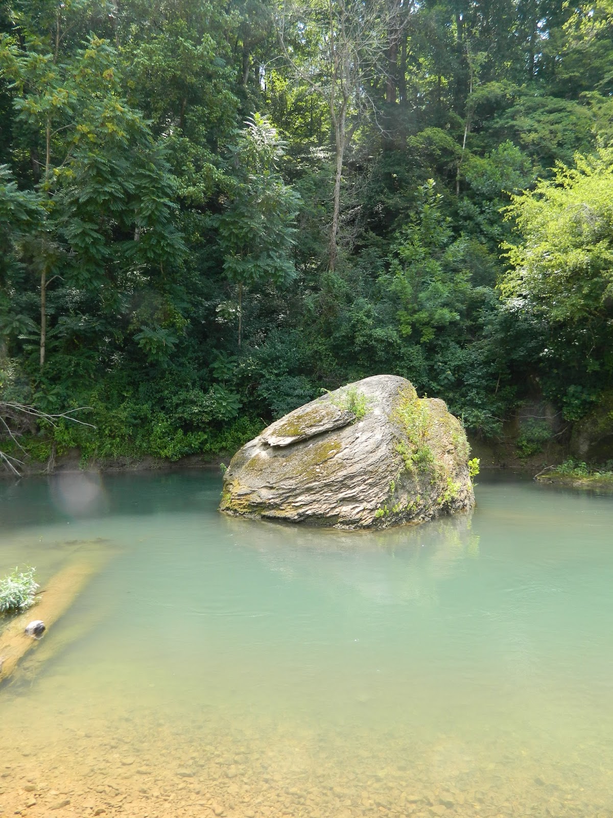 Paddle Tennessee Piney River Piney River to Walter Nunnely Bridge