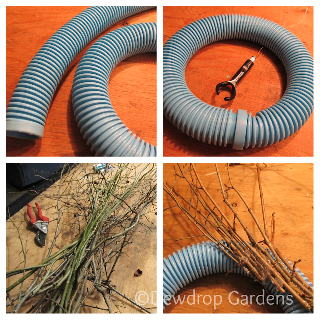 The Makings for the Winter Wreath @DewdropGardens #winter #wreath Making a Winter Wreath