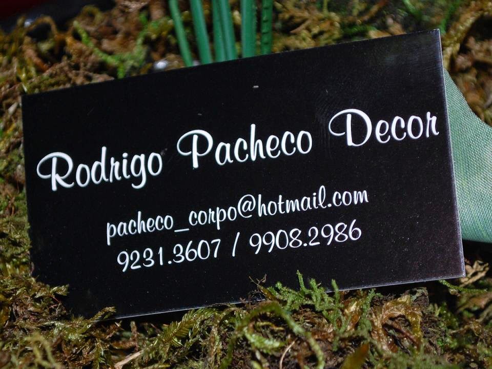 RODRIGO PACHECO DECOR pacheco_corpo@hotmail.com