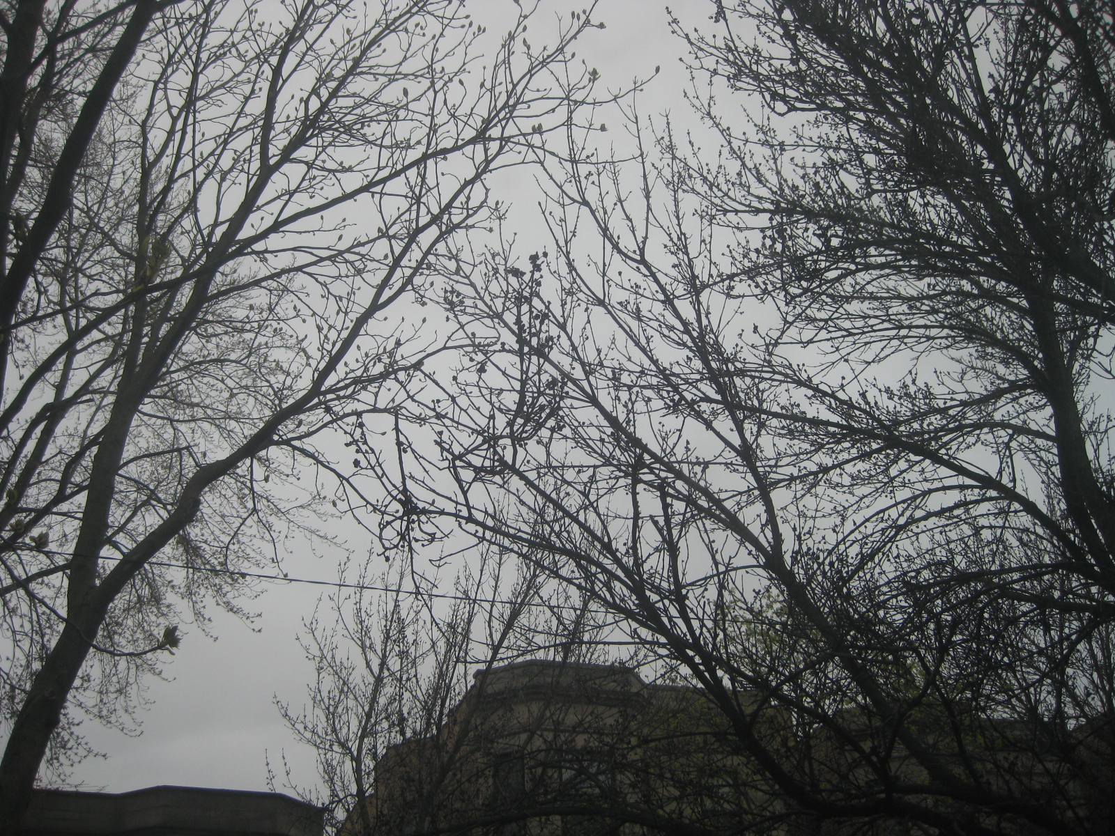 Quotes About Gloomy Weather. QuotesGram