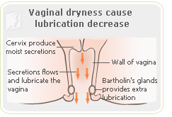 vaginal dryness, what is vaginal dryness, dry vagina, vagina dry, vaginal burning, vagina symptoms, vaginal discomfort, painful vaginal, vaginal problems, vaginal soreness, vaginal irritation