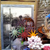 DecorAccion 2013, Mercadillo de Anticuarios y mucho más.