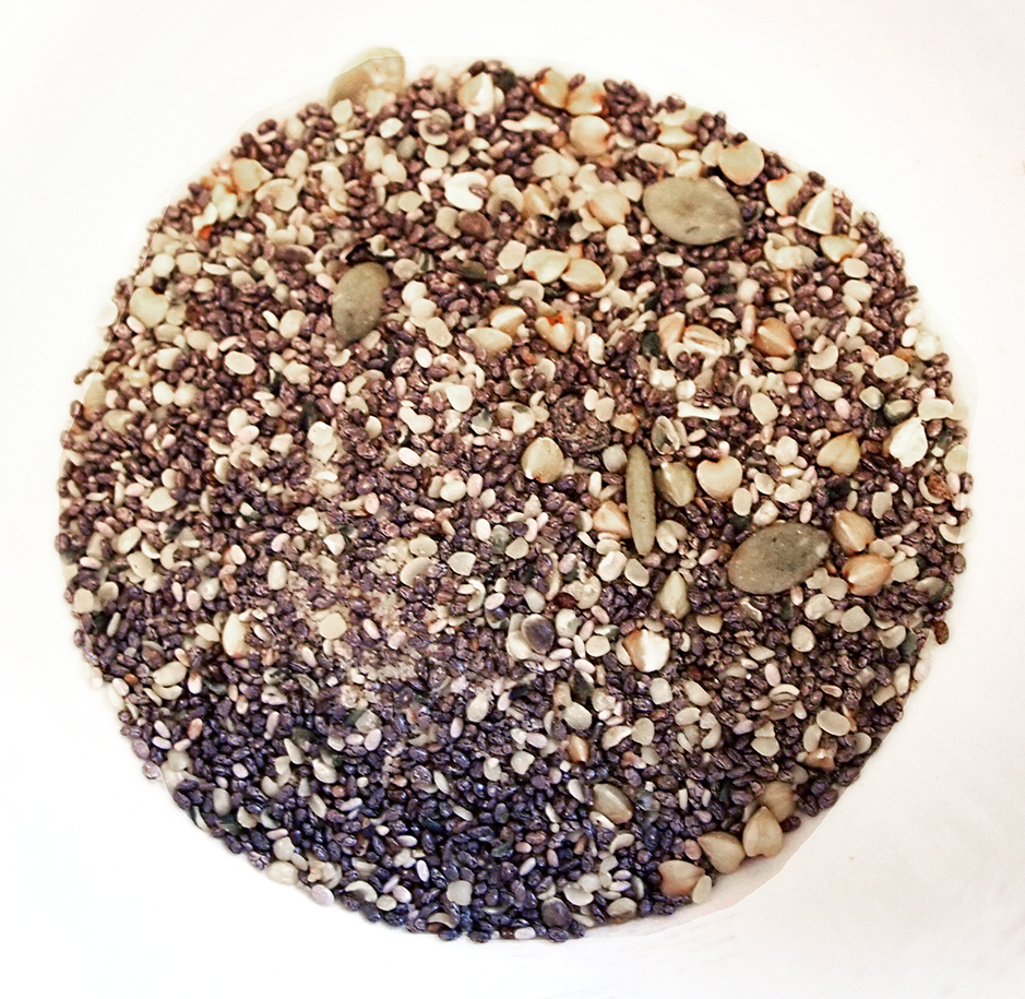 chia goodness