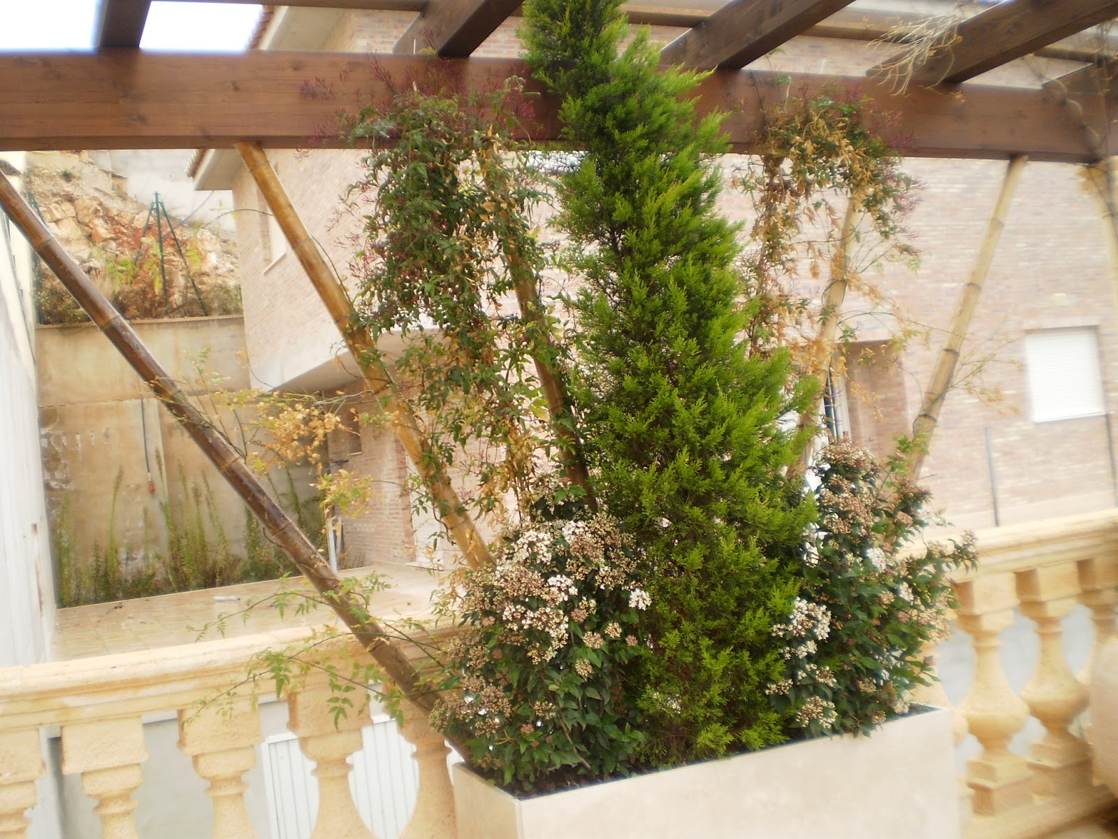 Bambu Decoracion Exterior ~ Crea tu Jard?n Decoraci?n con bamb? Bambu Decoracion Exterior ~ Crea tu Jard?n Decoraci?n con bamb?