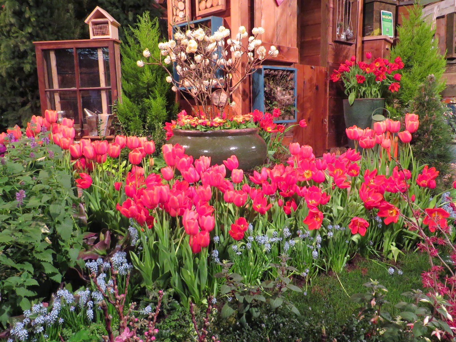 The Northwest Flower and Garden Show Seattle