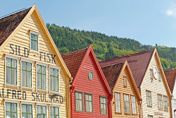 houten huizen in Bergen