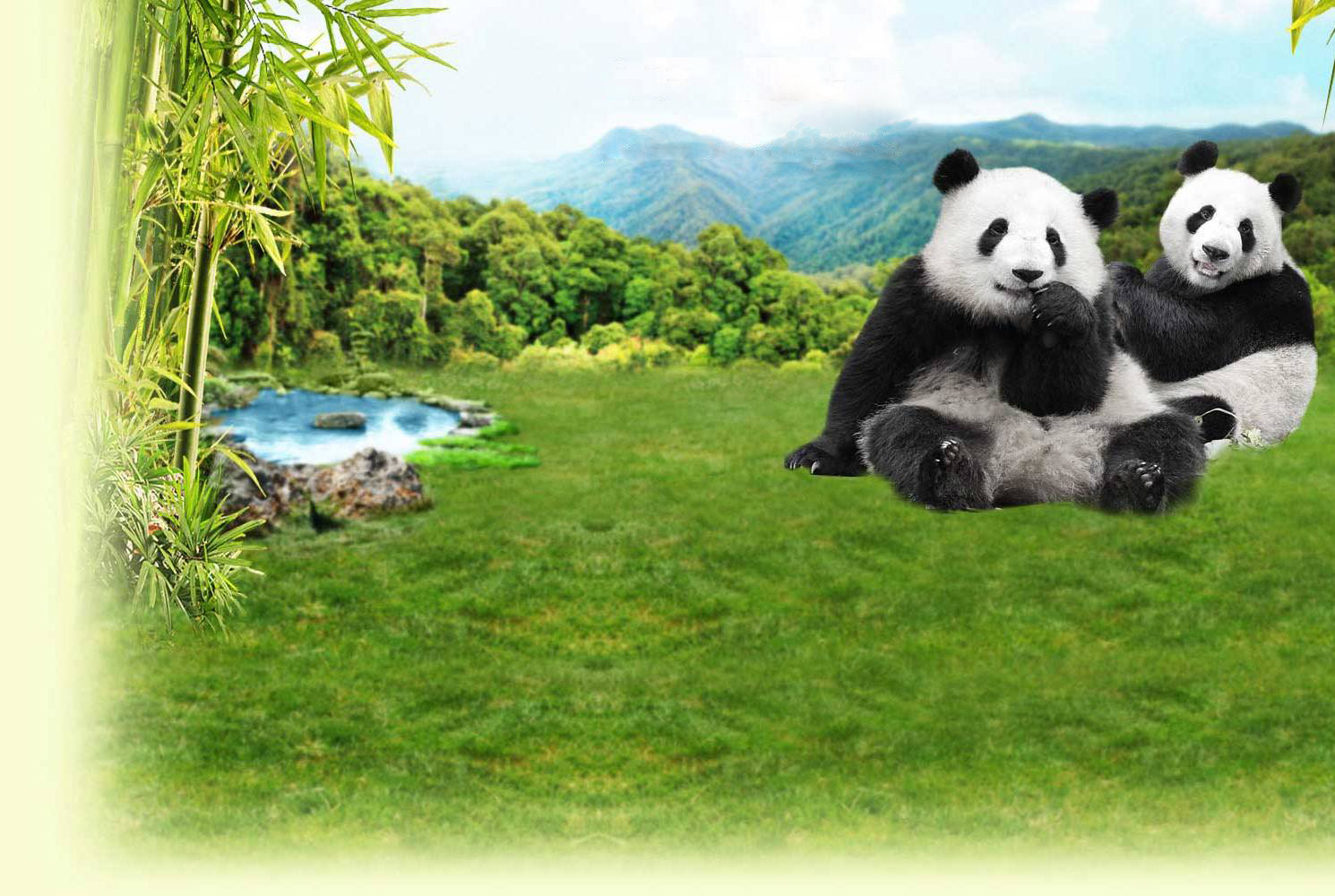 Giant Panda Forest - Welcome to the home of Singapore's very own giant pandas, Kai Kai and Jia Jia!