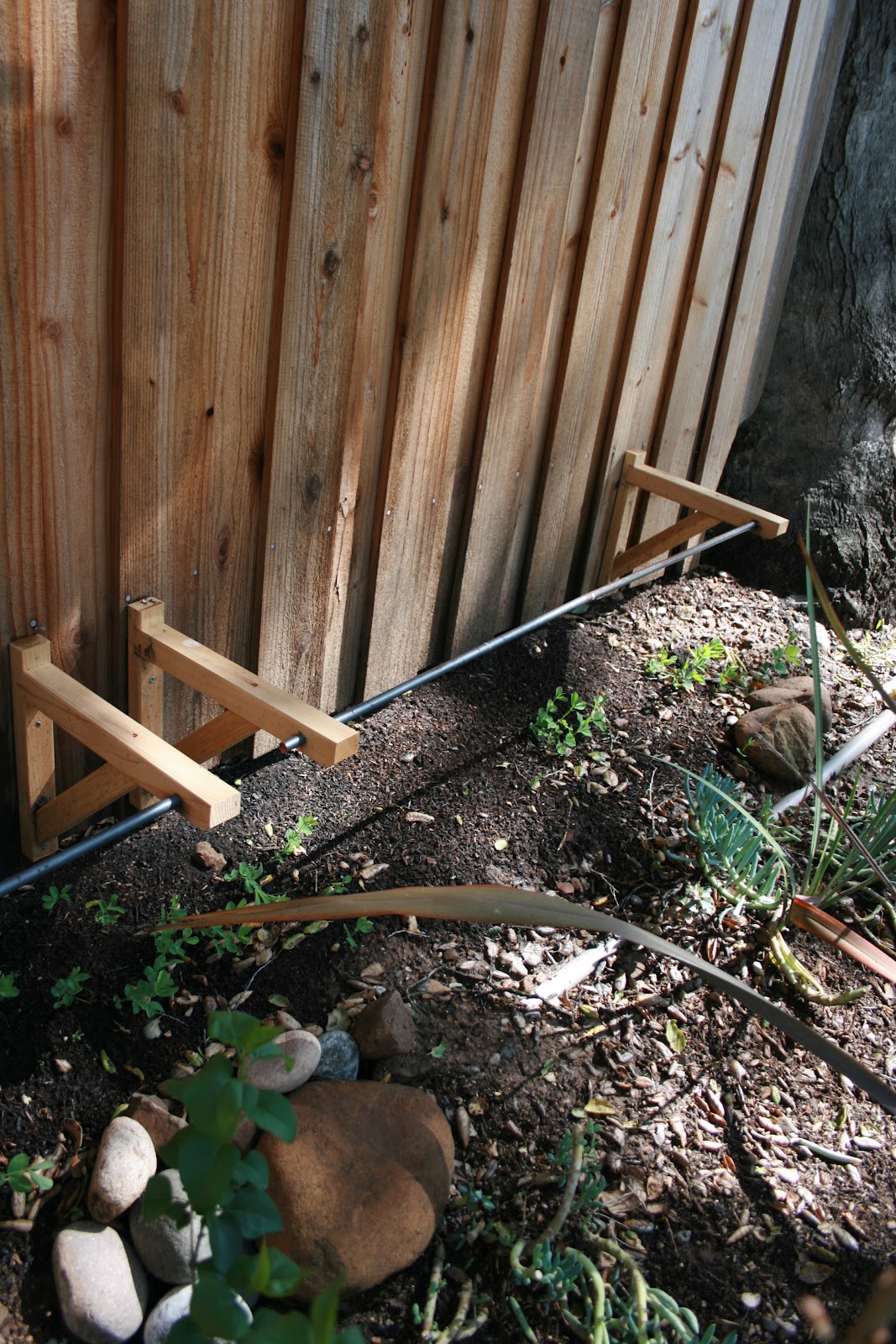 The Polished Pebble Sweet Pea Trellis
