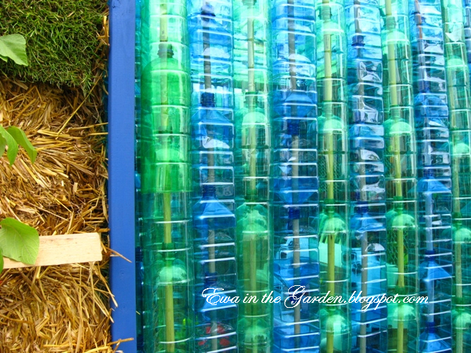 Ewa in the Garden DIY recycled greenhouse I bet you haven't seen