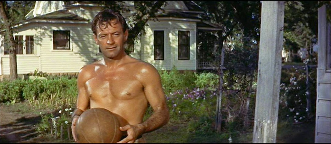 Image result for WILLIAM HOLDEN IN PICNIC