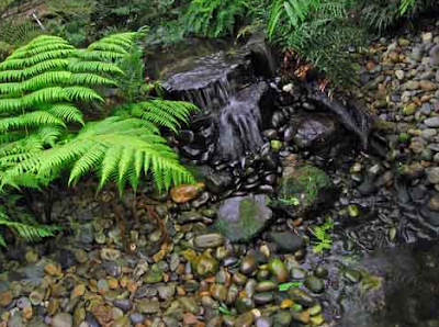 Garden Design