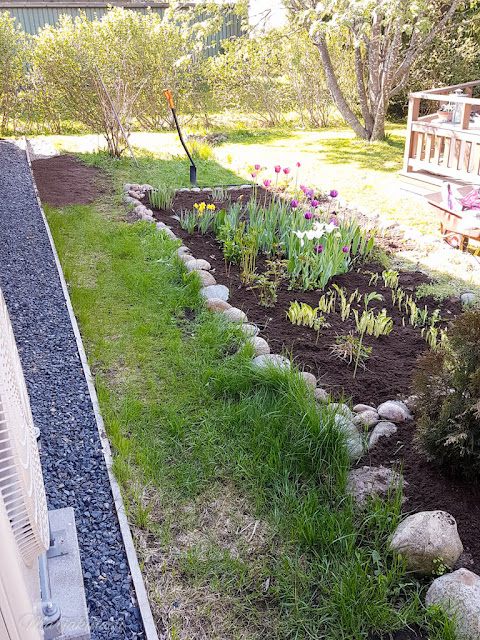 kukkapenkki toukokuu