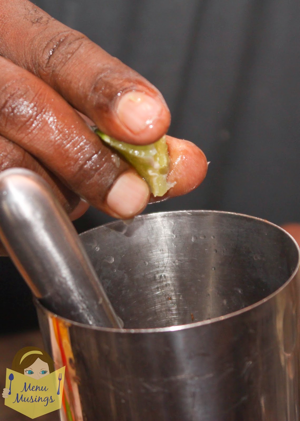 Menu Musings of a Modern American Mom Watermelon Thyme Martini