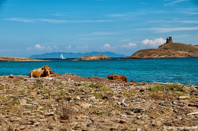 Sentier des Douaniers Corse