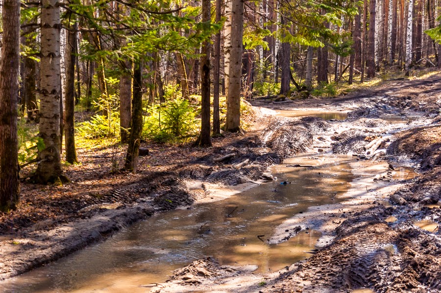 Одиночные катания