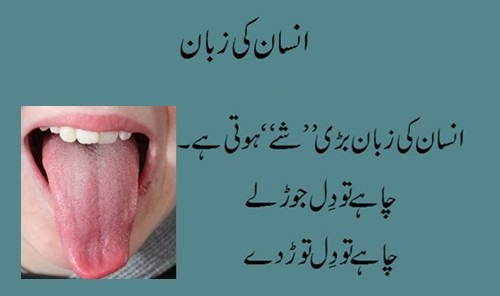 essay on discipline in urdu Essay on discipline for kids, children and studentsdiscipline essay for class essay on discipline in school in urdu each of the assignments and writing tasks. essay on discipline in urdu Essay on discipline for kids, children and studentsdiscipline essay for class essay on discipline in school in urdu each of the assignments and writing tasks.