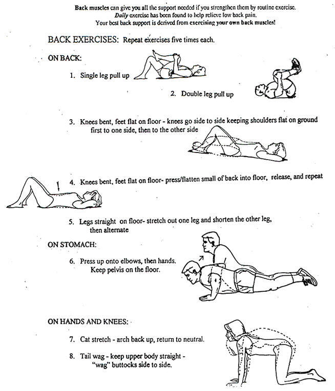 Low Back Exercises And Stretches Pdf