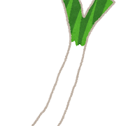 ネギのイラスト（野菜）