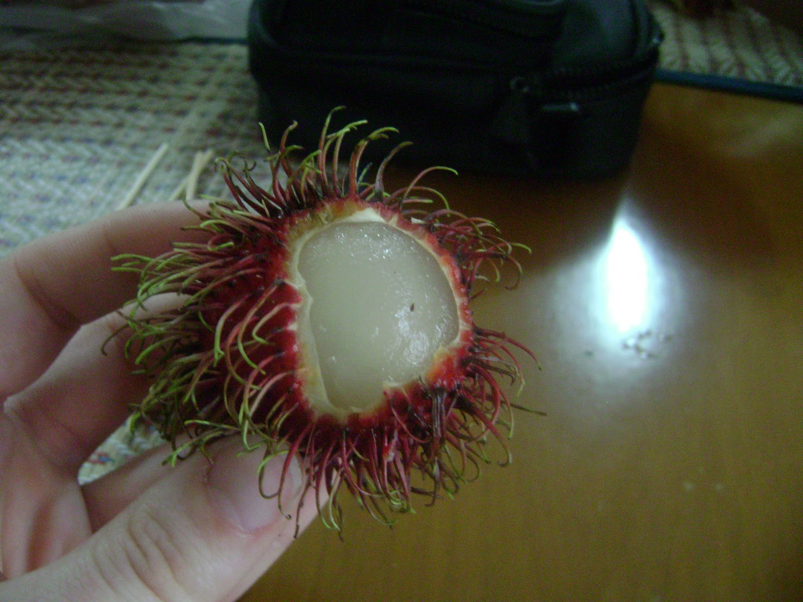 A Day in the Life of a Kohawk Strange Fruits!