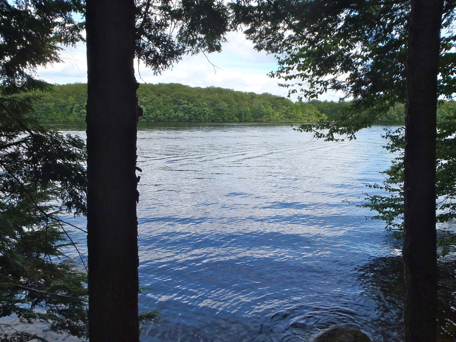 Berkshire Hiker Tolland State Forest in Otis, Sandisfield, Tolland and