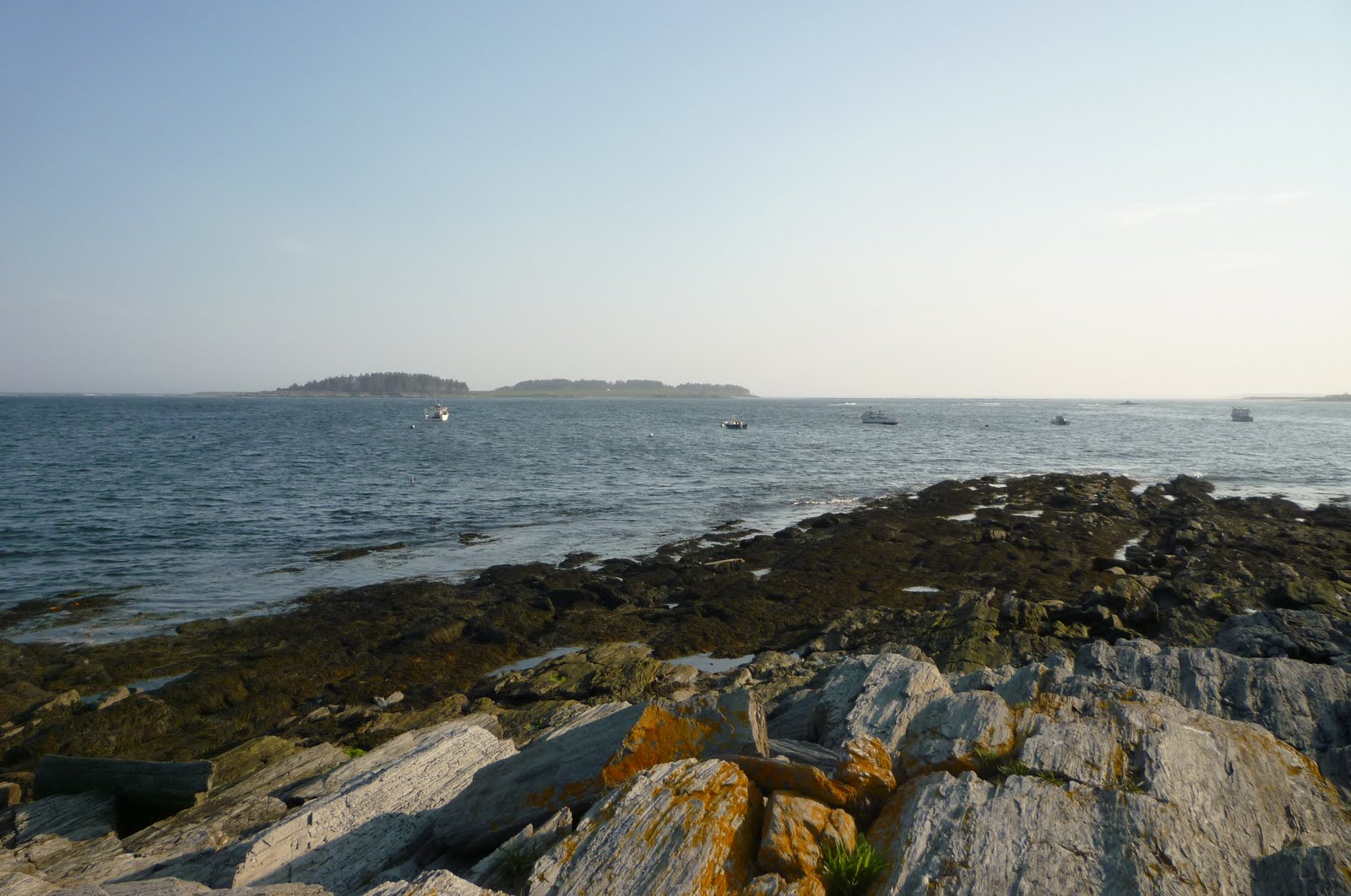 Daily Pics photographs by CarenMarie Michel Kettle Cove, Cape