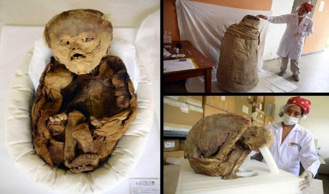 More than 1,000 year-old mummified pre-Inca baby ...